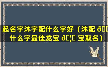 起名字沐字配什么字好（沐配 🌷 什么字最佳龙宝 🦉 宝取名）